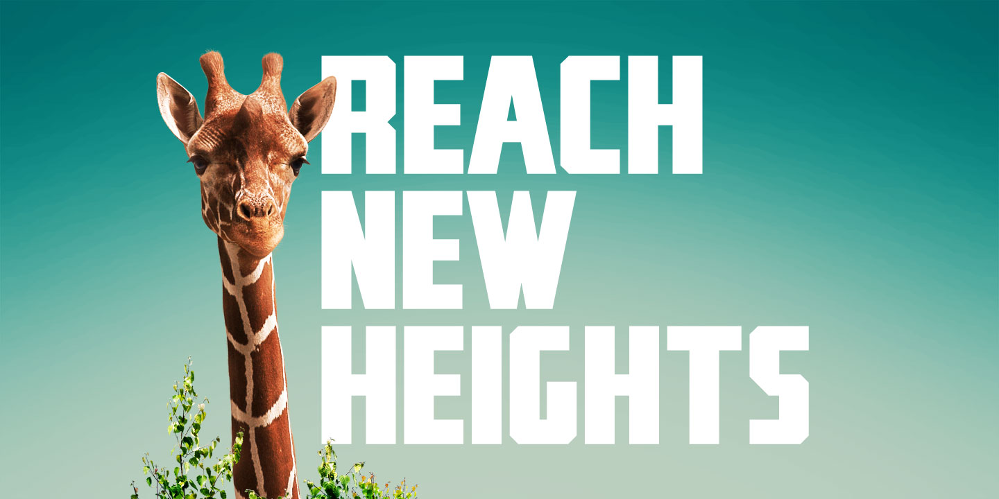 Rummy Tall, a Font of High Spirits